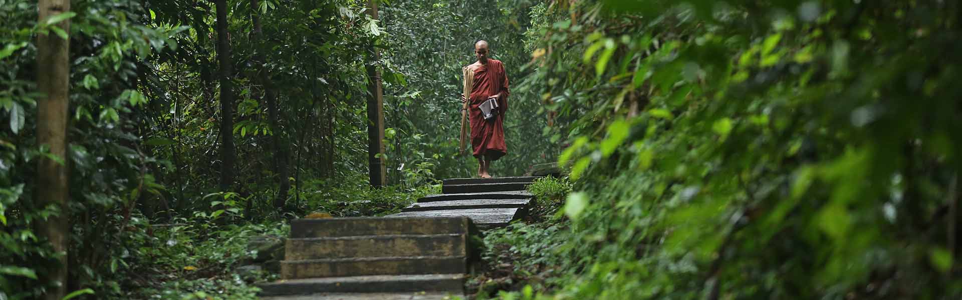 Mitirigala Nissarana Vanaya Slider 3